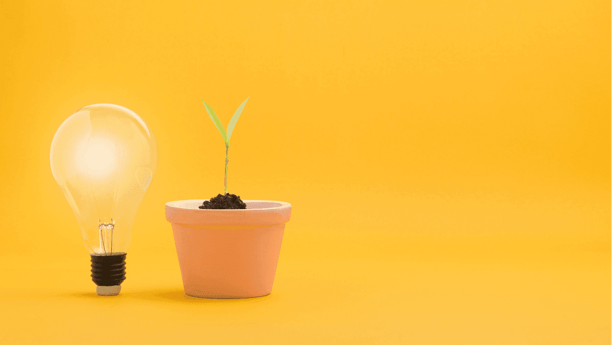 Cómo hacer crecer su negocio con Strikingly