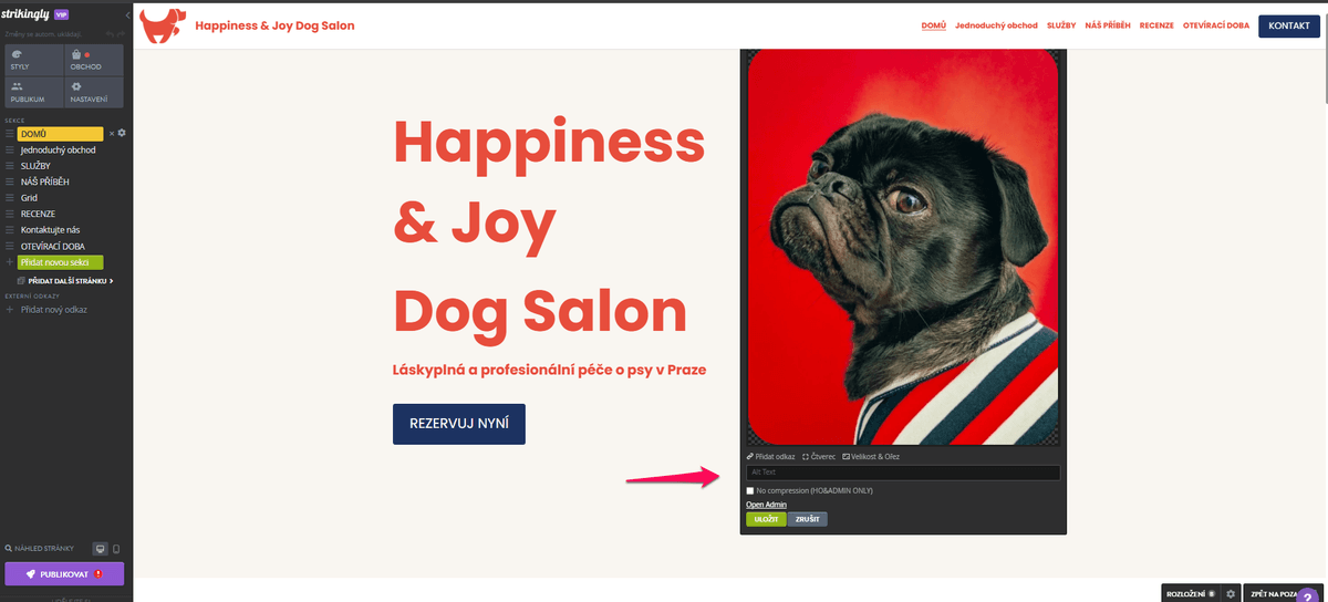 Design domovské stránky s technologií Strikingly - výzva k akci (CTA)