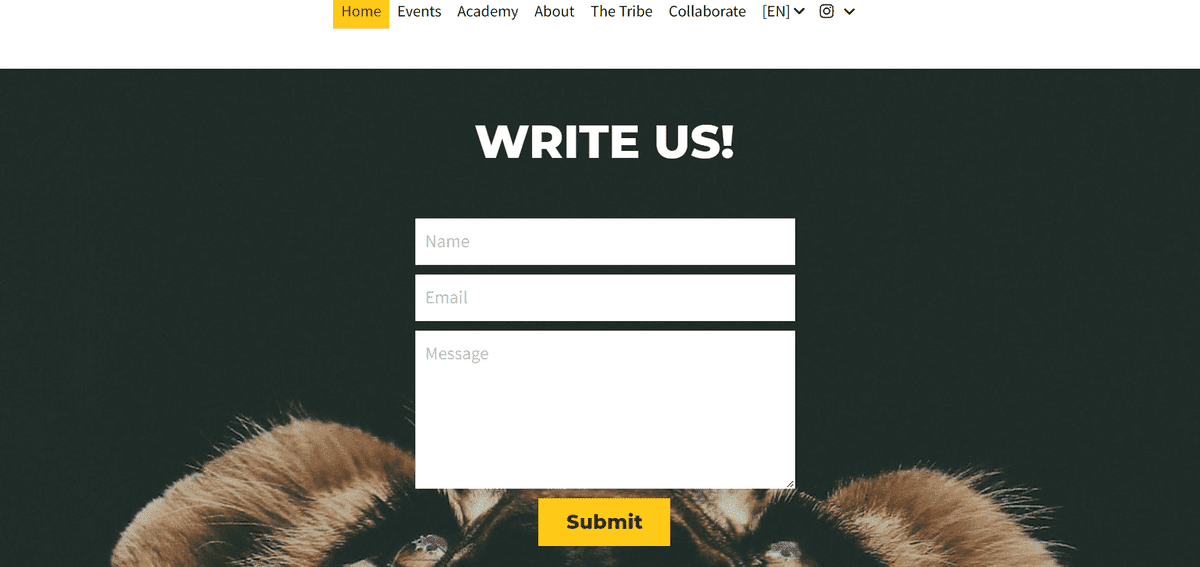 Cara meningkatkan keterlibatan email seperti Playfight