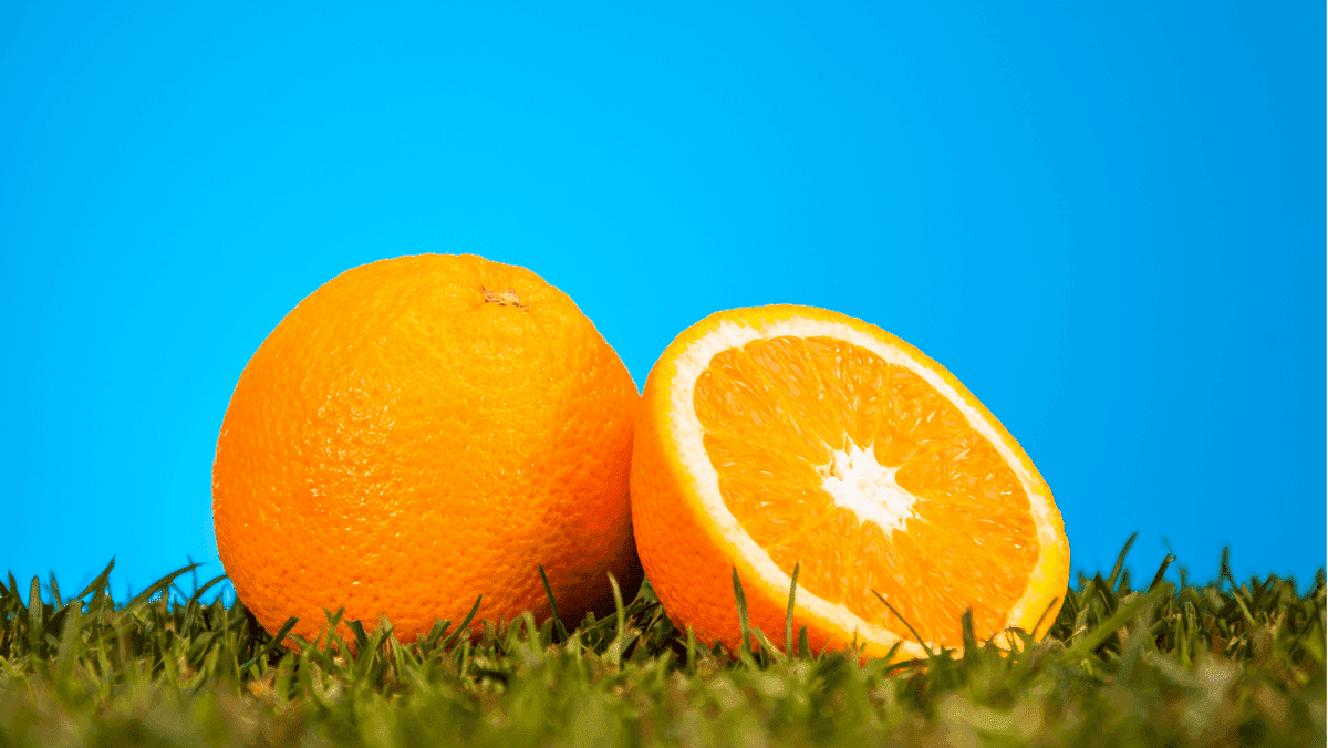 Crea un sitio web de fitness con Strikingly