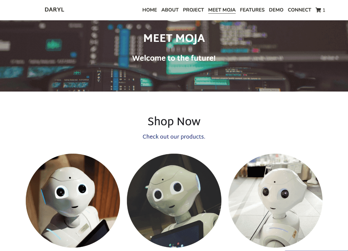 Plantilla de Daryl de Strikingly