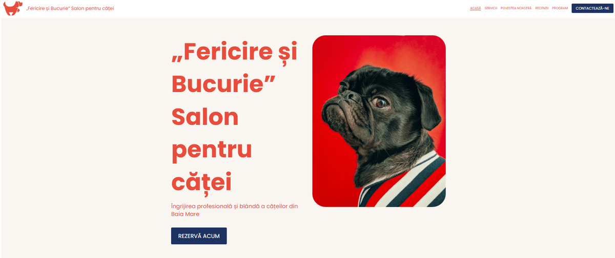 Șablon pentru salon de câini fericiti de la Strikingly