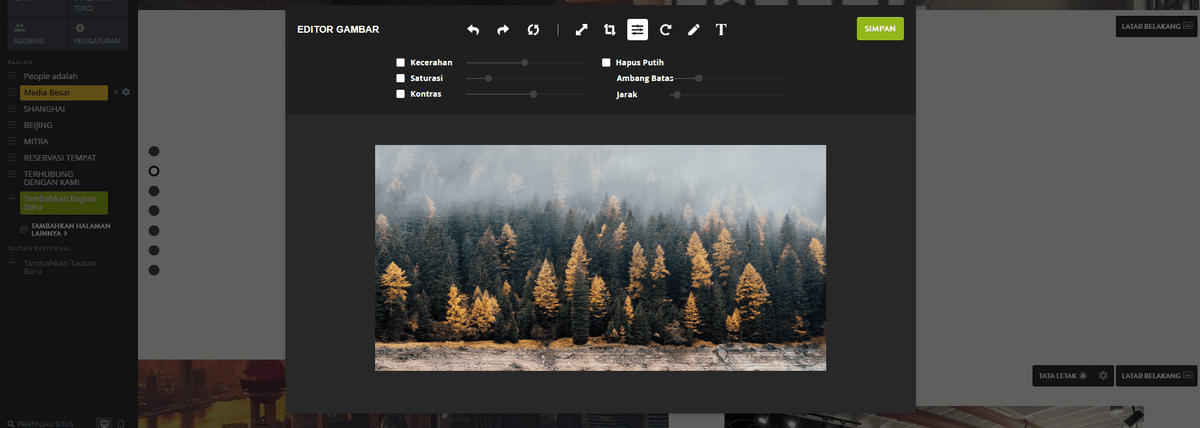 Bagaimana Cara Menambahkan Seni Vektor ke Situs Web yang Menarik - Kustomisasi