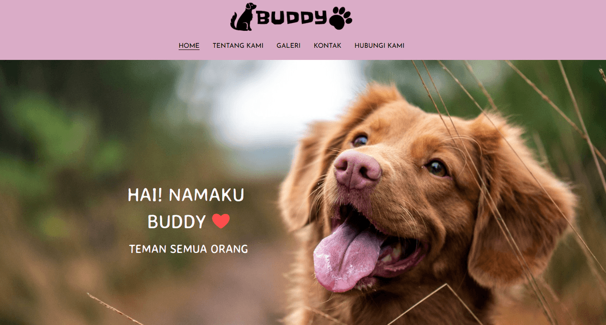 Template Buddy dari Strikingly