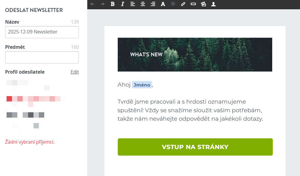 Šablona newsletteru Signaturely