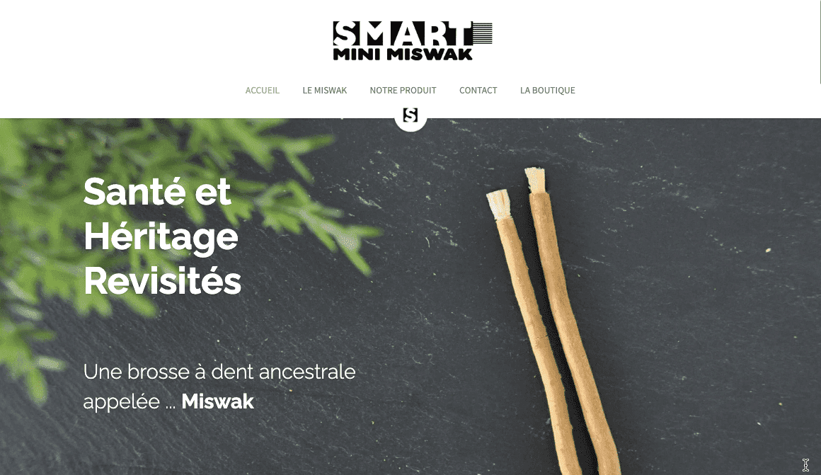 Webové stránky Smart Mini Miswak