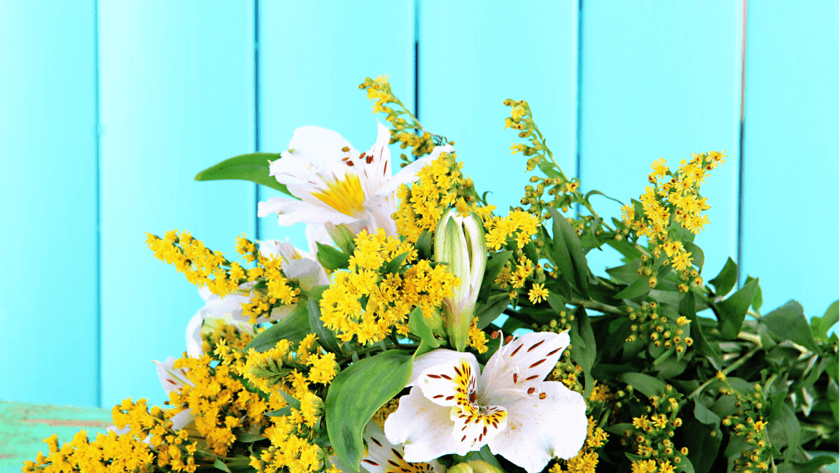 Ideas de imágenes de fondo para sitios web