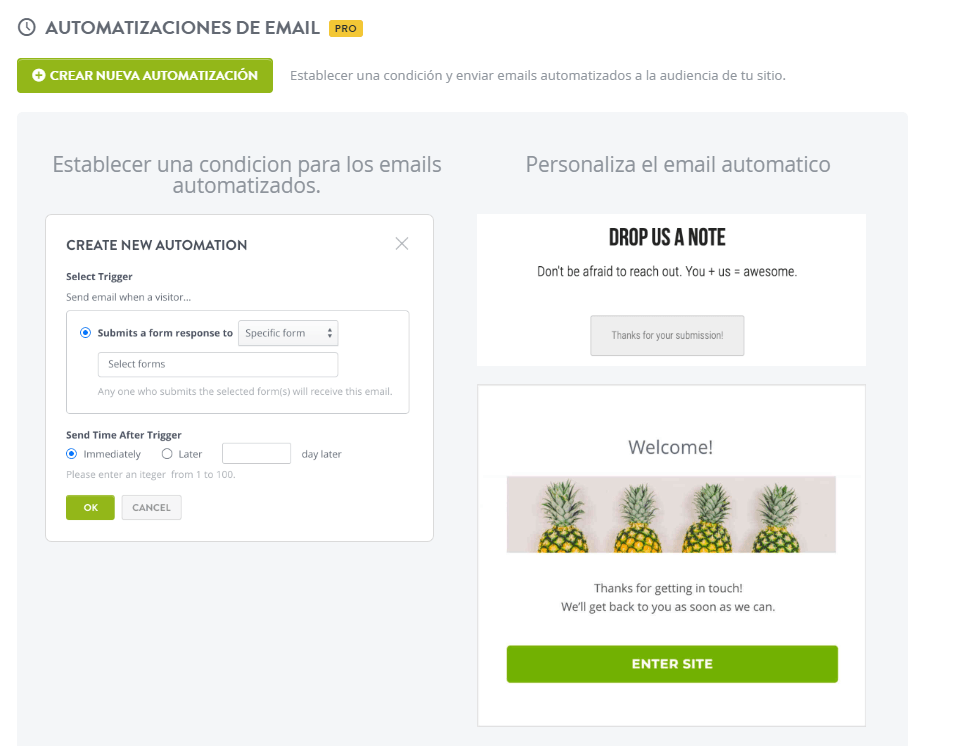 Función de automatización de correo electrónico de Strikingly