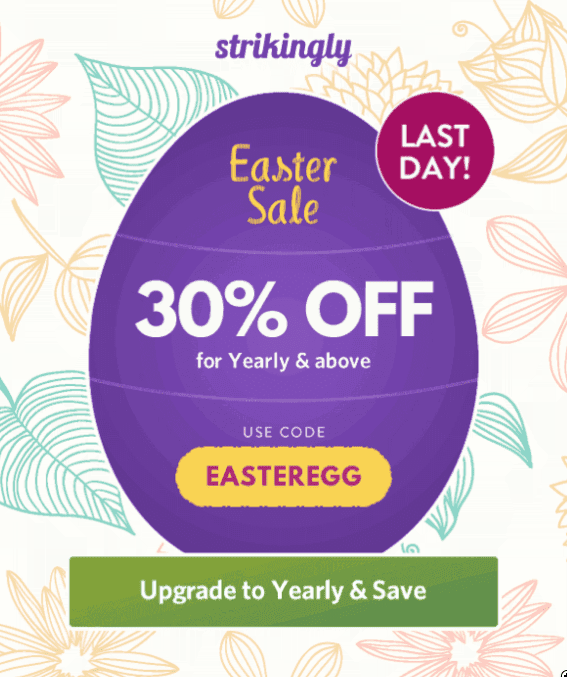 Cupón de oferta de Pascua de Strikingly