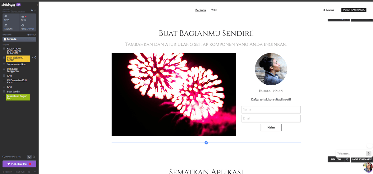 Editor Situs Web yang Mencolok