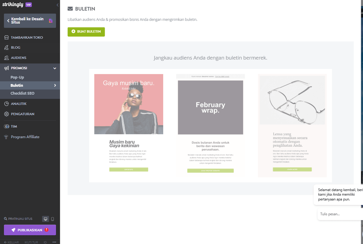 Fitur Newsletter Strikingly