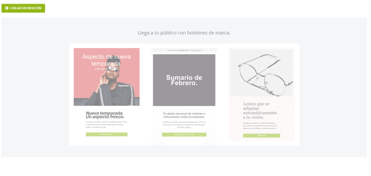 Artículo destacado del boletín informativo Strikingly