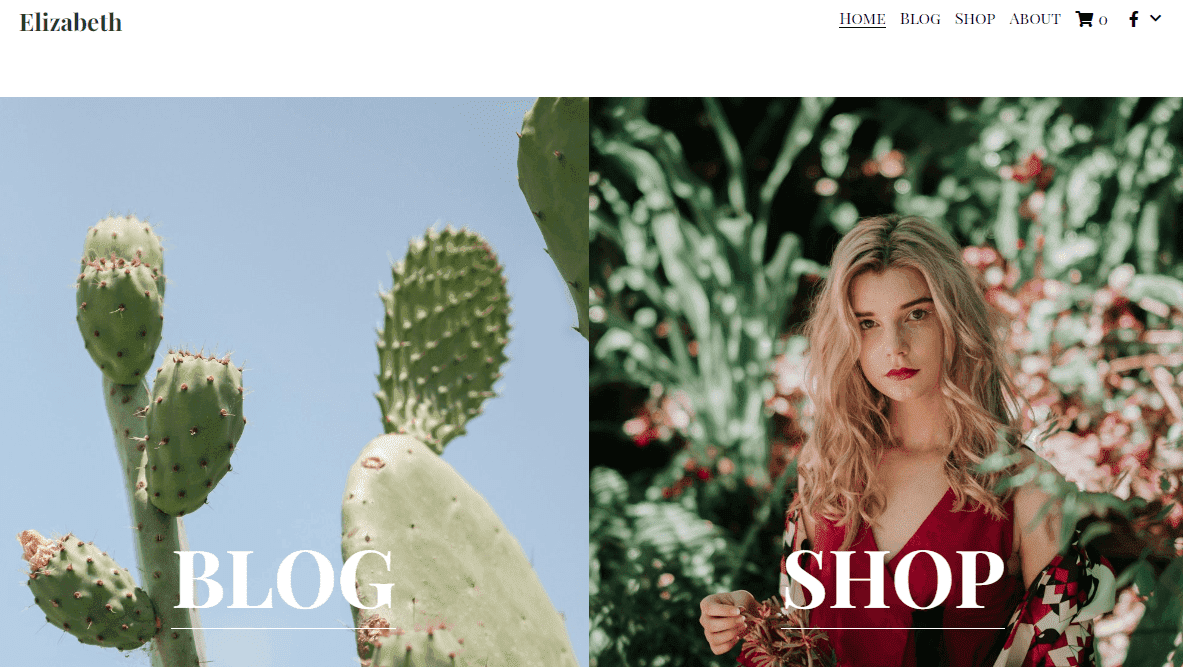 Plantilla de blog suculenta de Strikingly