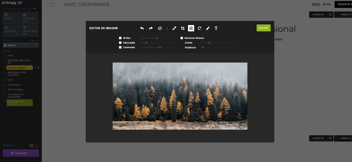 Como adicionar arte vetorial a um site Strikingly - Personalização
