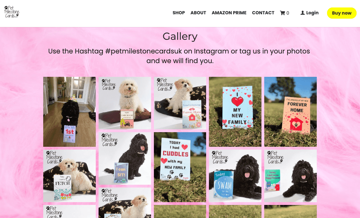 Campaña de Instagram de tarjetas de hitos para mascotas