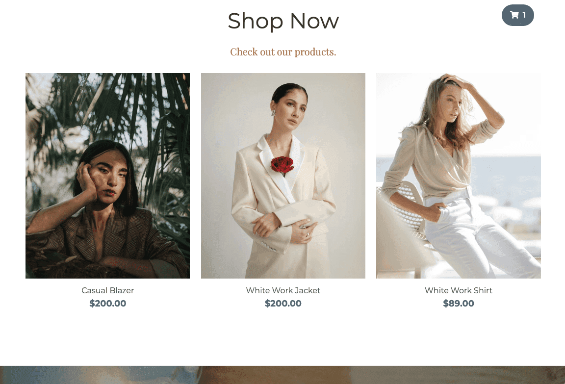 Plantilla de tienda en perspectiva de Strikingly