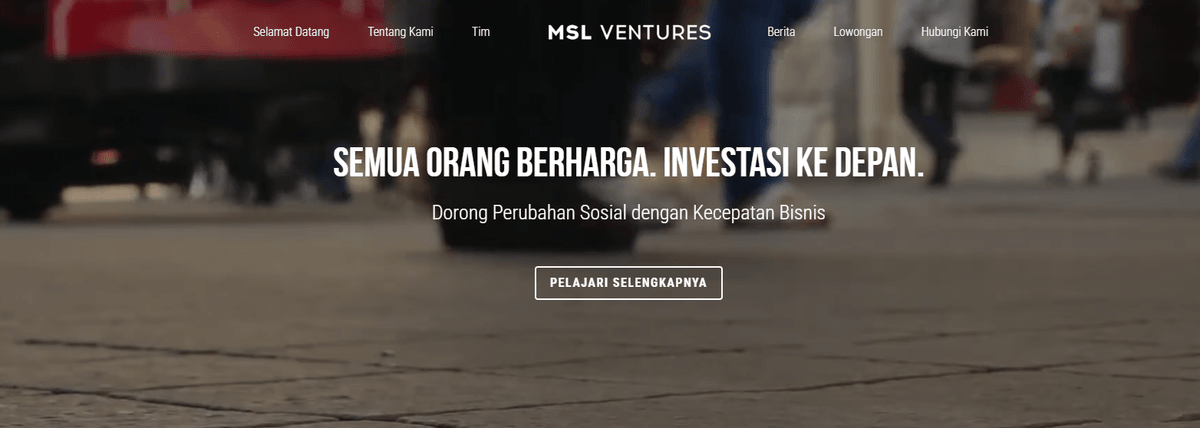 Šablona webových stránek MSL Ventures od Strikingly