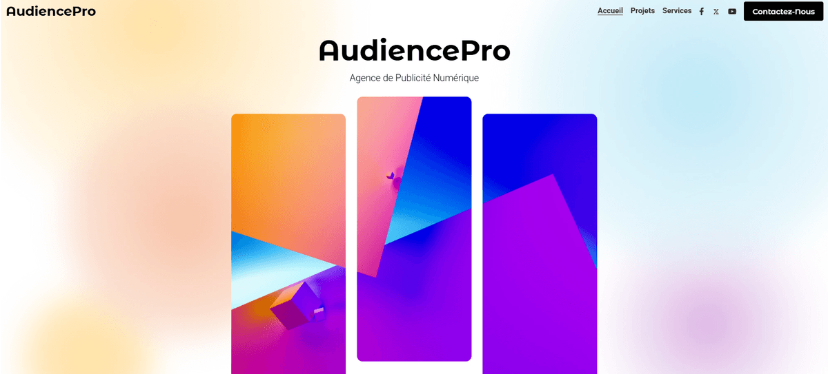 Modèle AudiencePro