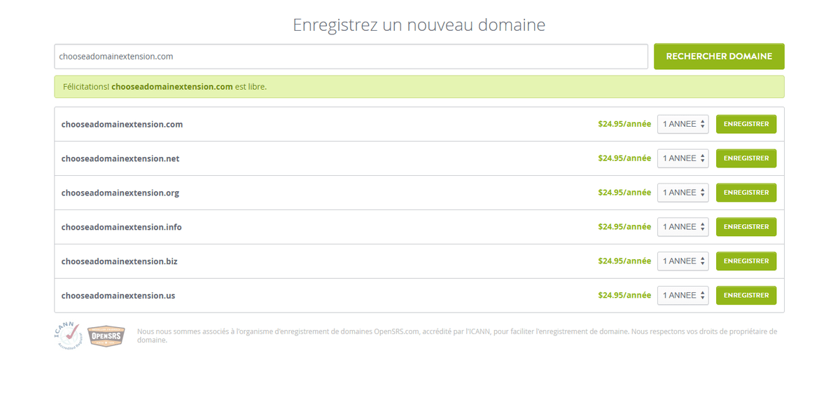 Page d'enregistrement de domaine Strikingly