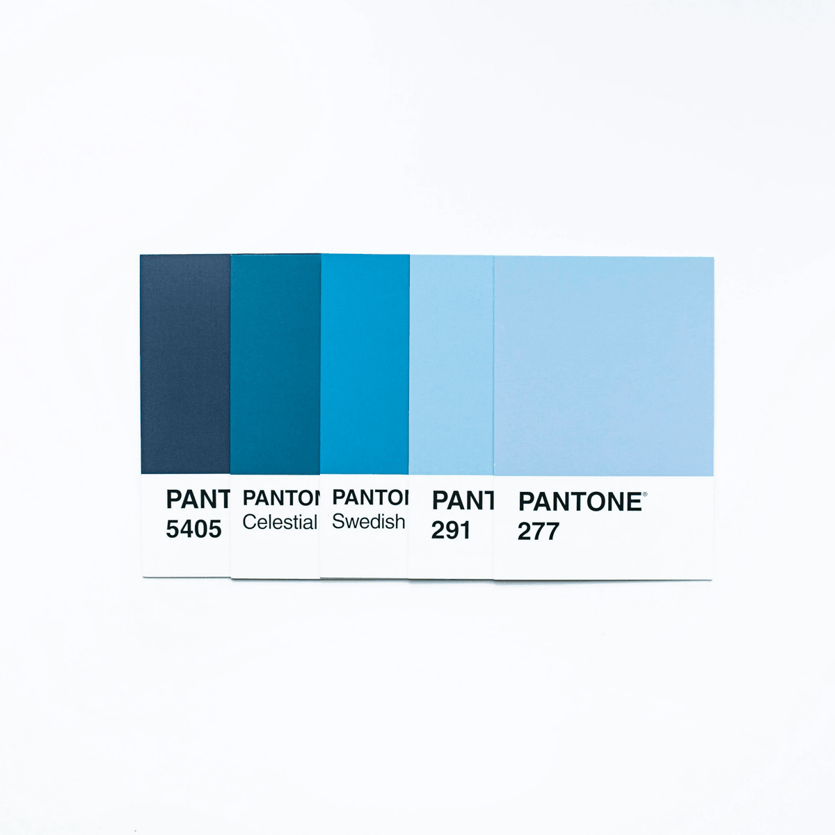Palette de couleurs pour la conception d'une page d'accueil minimaliste