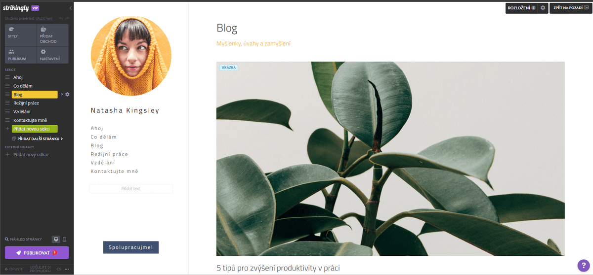 Jak založit blog pomocí Strikingly - Přizpůsobte si svůj blog