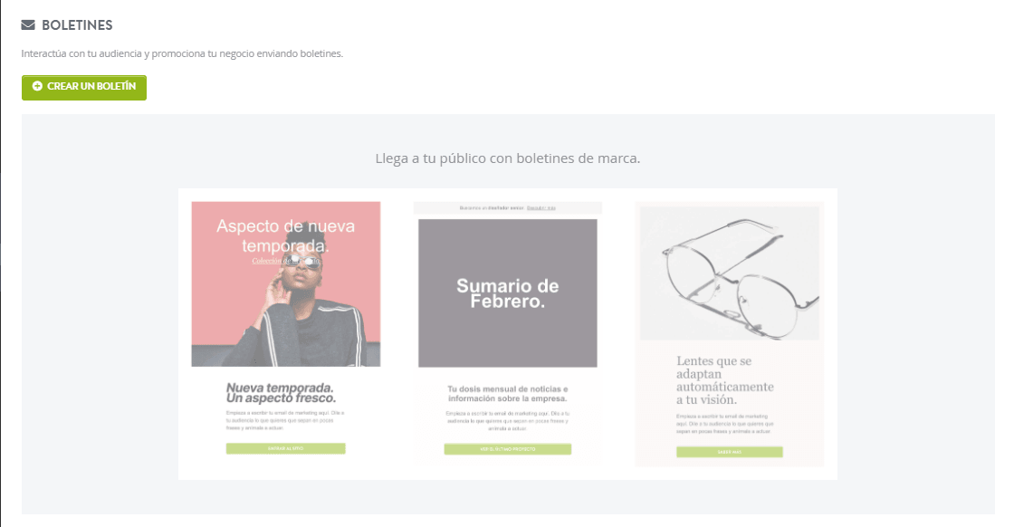 Artículo destacado del boletín informativo Strikingly