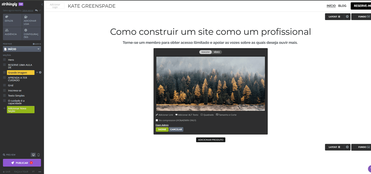 Como Adicionar Arte Vetorial a um Site Strikingly - Ajuste o Tamanho e a Posição
