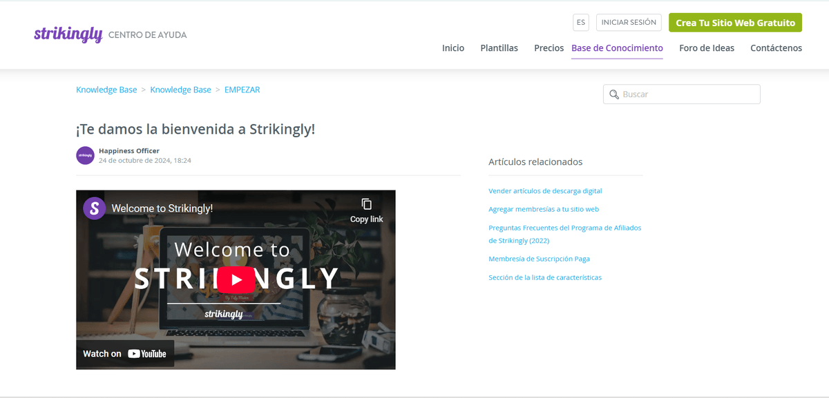 Artículo de la base de conocimientos de Strikingly
