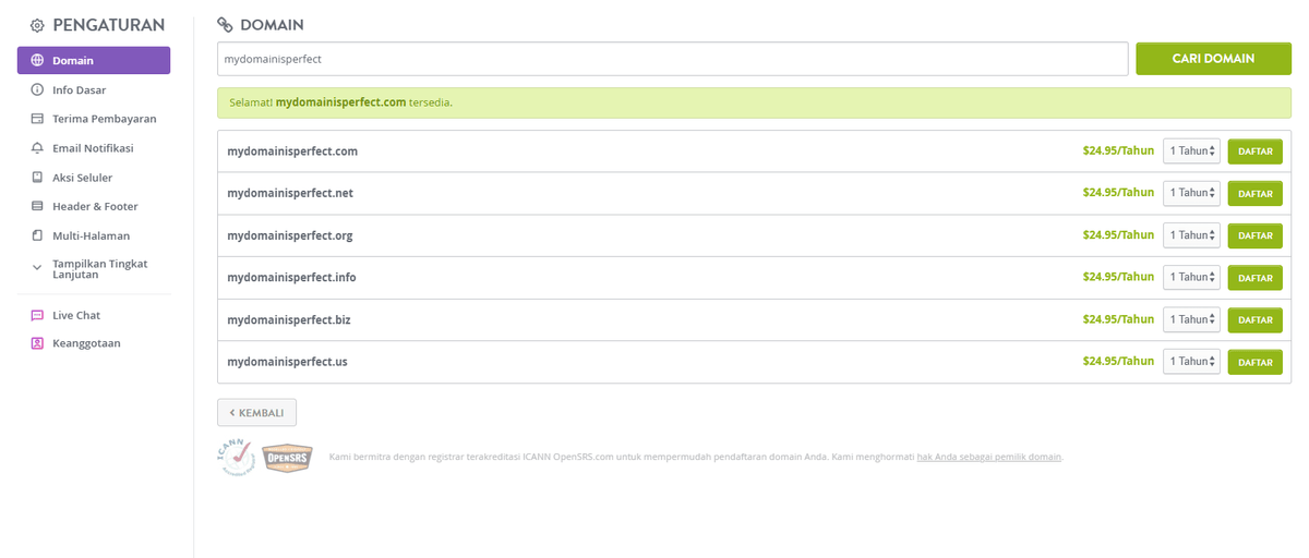 Domain Kustom dari Strikerly