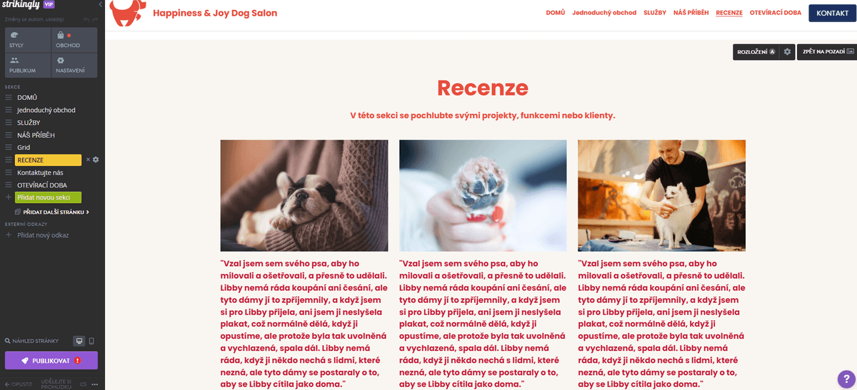 Strikingly - Dokonalý průvodce úspěšným zahájením fitness podnikání - Efektivní marketing