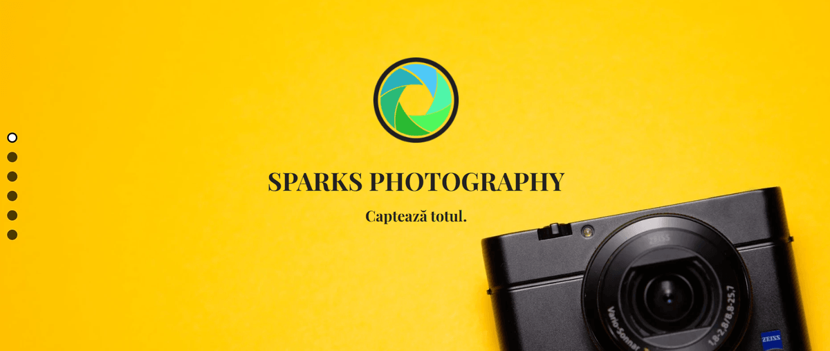Șablon de fotografie Sparks de la Strikingly