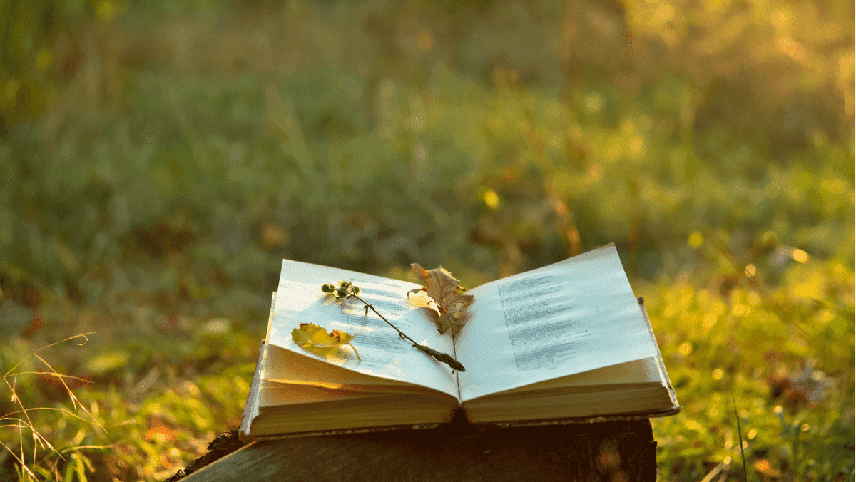 Blog de poesía impulsado por IA