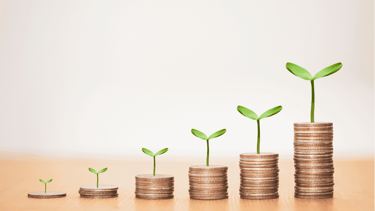 Aumente las ganancias de su negocio