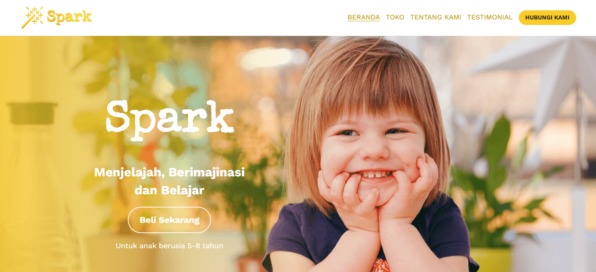 Templat Spark dari Strikerly