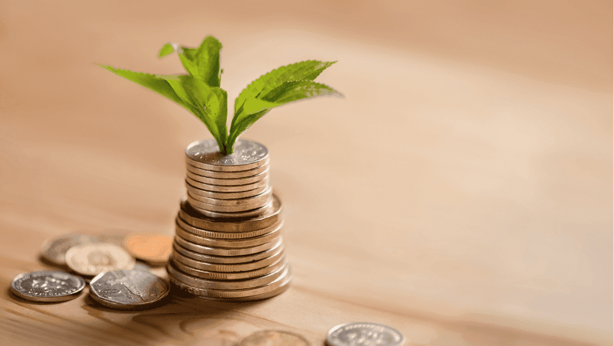 Crea una fuente de ingresos adicional