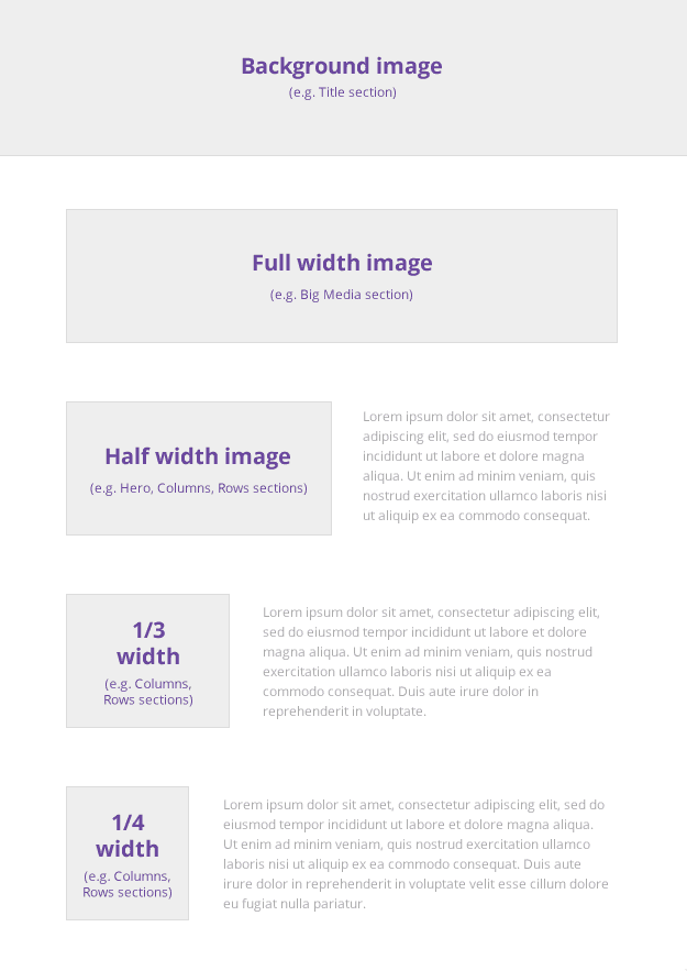 Directrices de tamaño de imagen de Strikingly