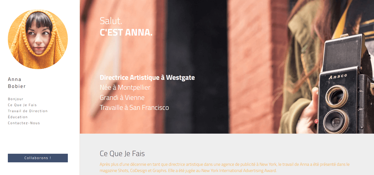 Présentation des projets du portfolio par catégorie grâce à des visuels attrayants