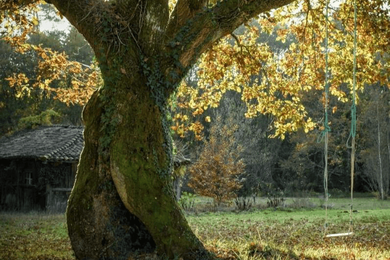 Journée de pratique de méditation - Février 2026