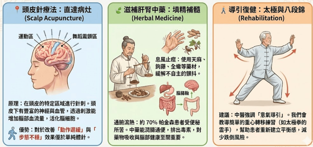 Explore the comprehensive health services of the Master Hall Traditional Chinese Medicine Clinic This master hall gathers a professional traditional Chinese medicine team, inheriting ancient wisdom and modern medical equipment, providing comprehensive diagnosis and treatment from internal medicine conditioning, various acupuncture to pain relief, dedicated to becoming the most trustworthy health guardian for your family.