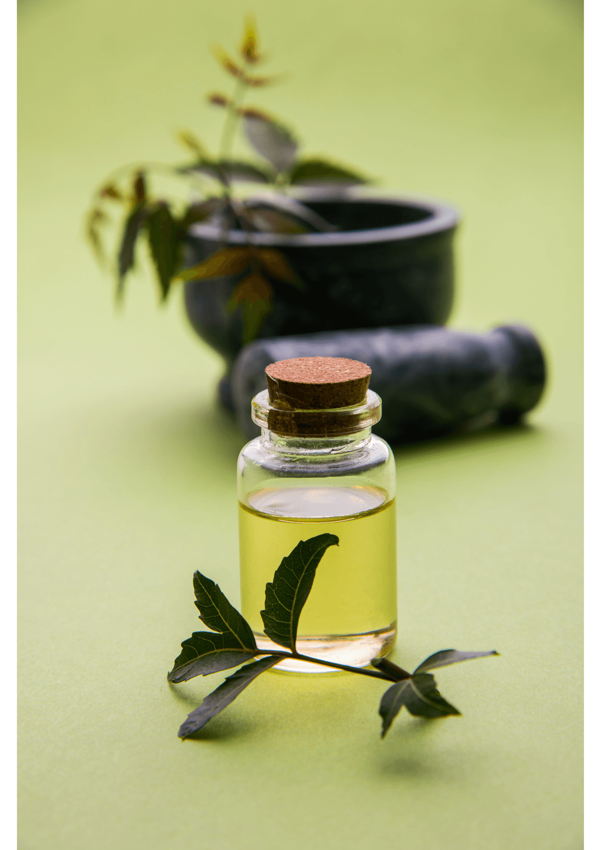 Natural Neem Oil
