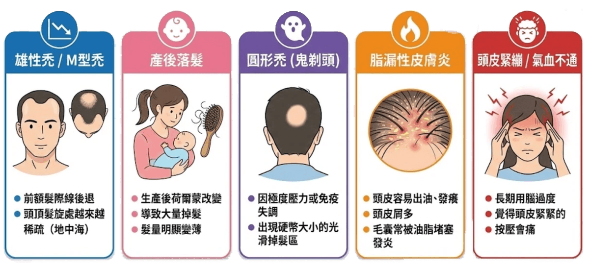 Explore the comprehensive health services of the Master Hall Traditional Chinese Medicine Clinic This master hall gathers a professional traditional Chinese medicine team, inheriting ancient wisdom and modern medical equipment, providing comprehensive diagnosis and treatment from internal medicine conditioning, various acupuncture to pain relief, dedicated to becoming the most trustworthy health guardian for your family.