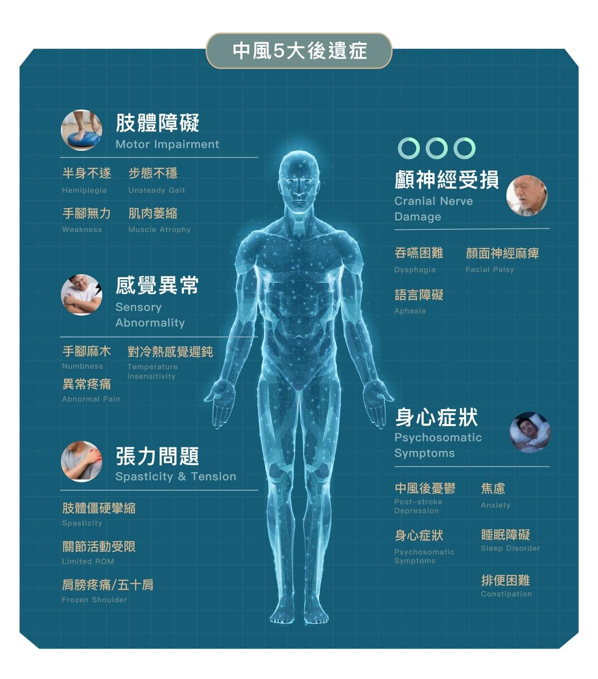 Explore the comprehensive health services of the Master Hall Traditional Chinese Medicine Clinic This master hall gathers a professional traditional Chinese medicine team, inheriting ancient wisdom and modern medical equipment, providing comprehensive diagnosis and treatment from internal medicine conditioning, various acupuncture to pain relief, dedicated to becoming the most trustworthy health guardian for your family.