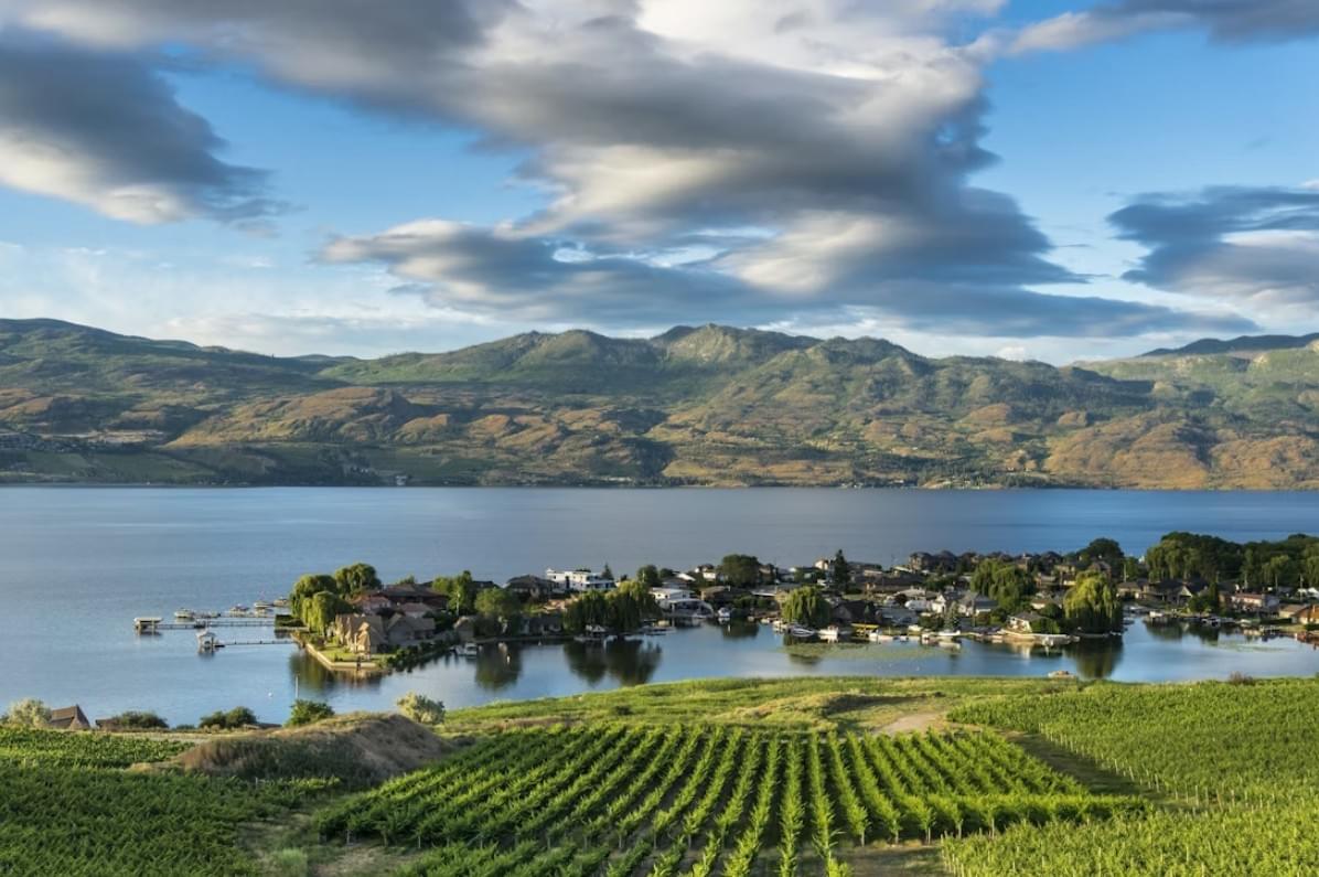 Your Trusted Partner in Waste Water Solutions Waste Water Solutions
Septic
Tanks
Inspections
Drain Fields
Consultations
Upgrades