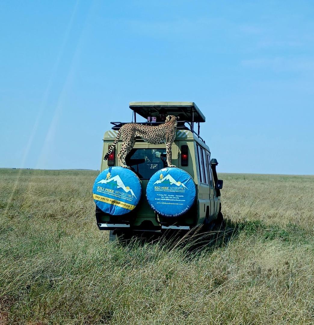 kili Hike Adventures