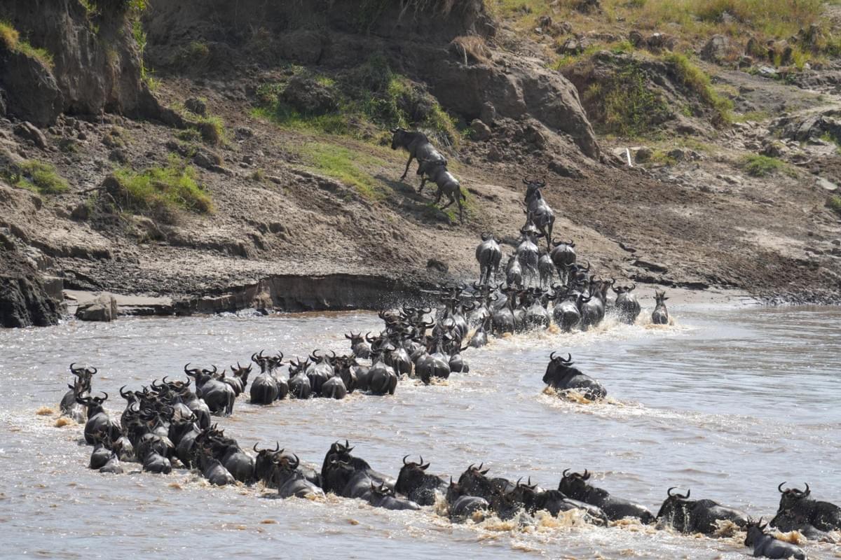 kili Hike adventures