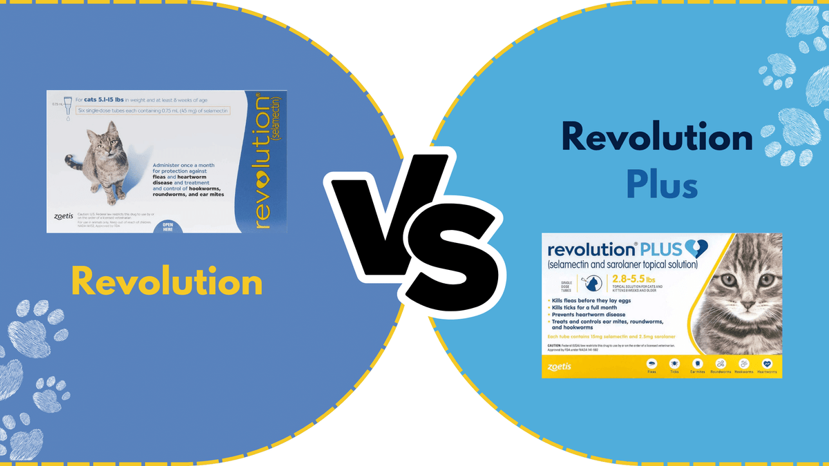 Revolution Vs Revolution Plus for Cats Which One Is Be...