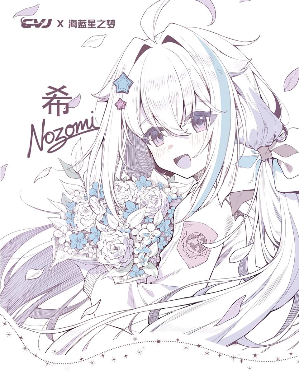 CVJ NOZOMI 2DD+1PD New Planar In-Ear Earphones Interchangeable Panel Nozzle 3 Unit