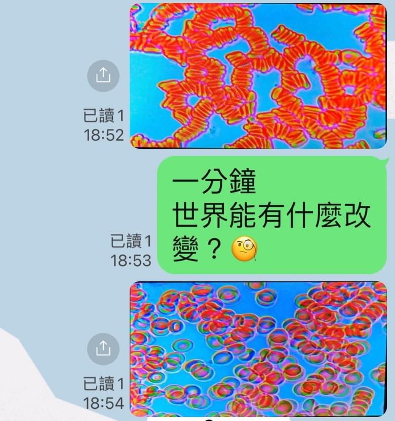 小分子波動植化素20ml