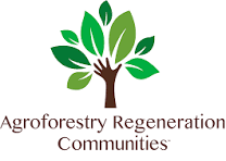 We unite diverse communities to foster dialogue about trauma, resilience, and healing. Community Engagement Our Initiatives The Earth Healing Alliance will be a non-governmental organization operating in Tanzania. The organization focus to unite diverse communities, to inspire, educate, and tell the story of the traumatic experiences caused by gender based violence, ecosystem collapse, conflicts, and community challenges to accelerate the healing of human wellbeing and earth. 
Registration
The Organization shall be registered as a Non Governmental Organization under the Non Governmental Organizations Act, No. 24 of 2002 as amended from time to time.
 Head Office
The head office will be based at Mahakama Street, nearby Mahuseni garage, Murubona ward, Kasulu Town Council, Kigoma Region
P.O.BOX 232 Kasulu.

 Area of Operation
The Organization shall operate in Tanzania Mainland/ Kigoma region/ Kasulu Town council 

Vision Statement
A world where nature thrives, communities experienced trauma healed, and humanity lives in harmony with the Earth and resto