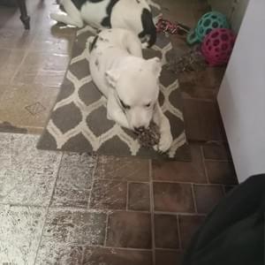  — James Lee “This device is a must-have! It recorded everything and helped me deal with my insurance hassle-free.” Thousands of drivers trust our car camera to protect their rights on the road Don't Ever Get Caught Driving A Car Without This! Top Rated Device Helps Thousands Get Out Of Wrongful Allegations
A car crash happens about every 5 seconds in the US ! That number means approximately 20 every minute, 6 million every year.

Let's face it: While you may do your part as a responsible driver, and pride that "I am a safe driver, and I have a perfect driving record", the same can't be said for everyone else on the road.

Outrageous drivers are everywhere.

You could be a VICTIM in a head-on collision, rear-ending accident, side collision, or any number of different scenarios, even if you drive safely and abide by the traffic laws! But that's even not the worst coming to face…

In fact, most insurance companies in the US will raise your rates by an average of 53% after an accident if you can't prove that it wasn't your fault. You are the victim, yet still, you have to pay.